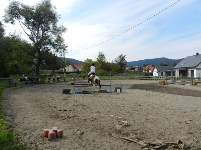 Babie Lato 2016